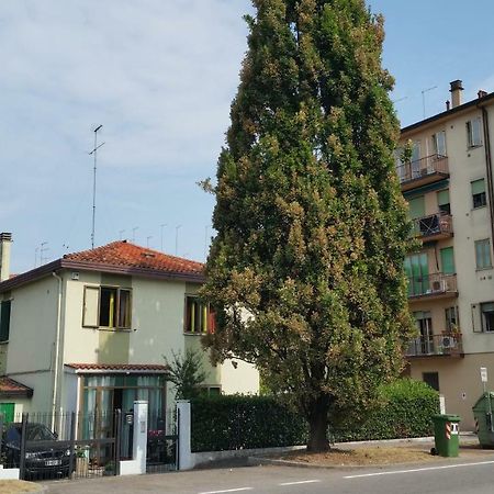 Ever Green Mestre Exterior foto